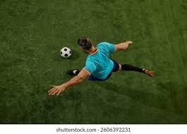 世界杯前大屠杀！ 300万只流浪狗 传摩洛哥虐杀！