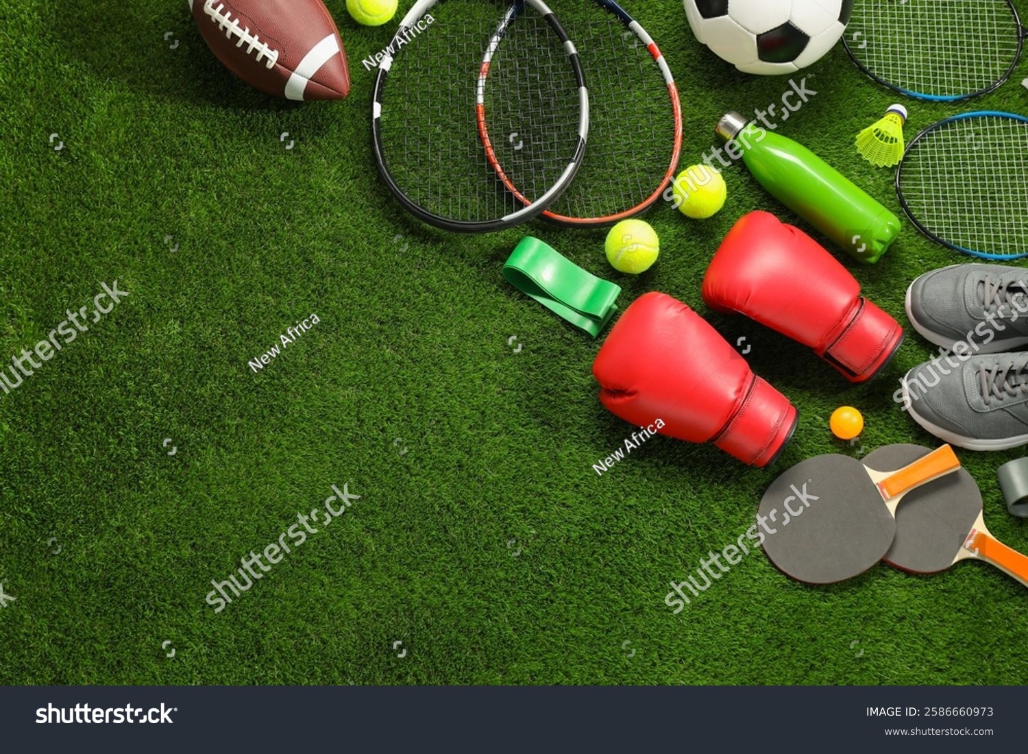 information-architecture-decision